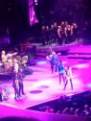 The Rolling Stones